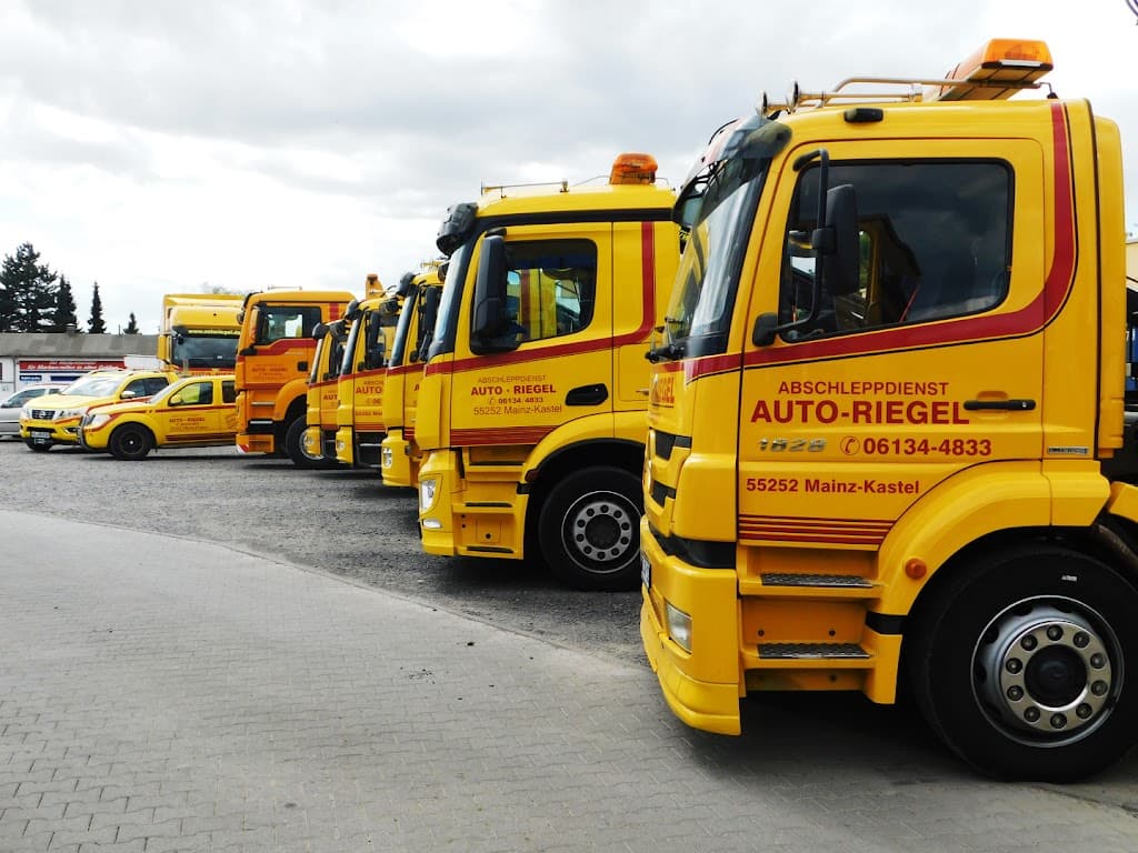 Auto Riegel Bosch Service